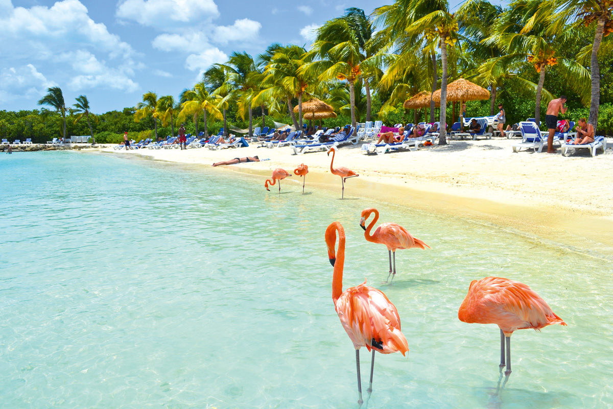 Imagen de ARUBA 12 AL 16 OCTUBRE