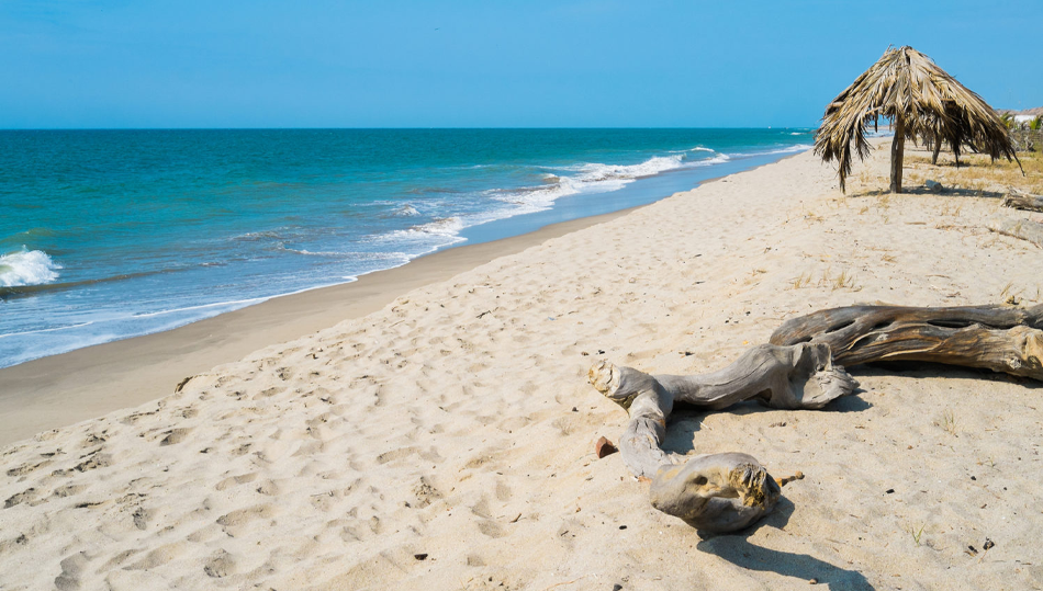 Imagen de AÑO NUEVO EN PLAYAS DEL NORTE 30 DIC AL 03 ENE 2027