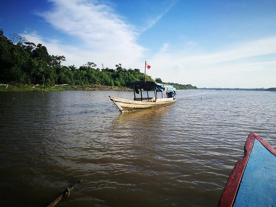 Imagen de PUCALLPA ESPECIAL 